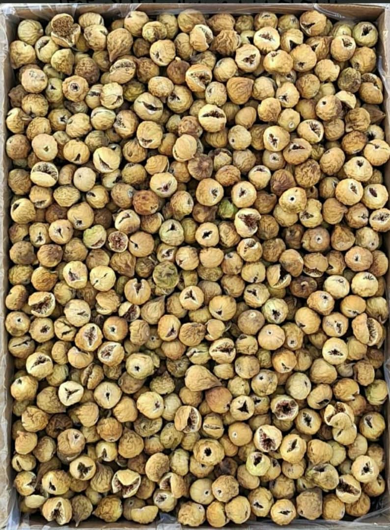 عرضه انجیر صدیک لاکی + خرید منصفانه